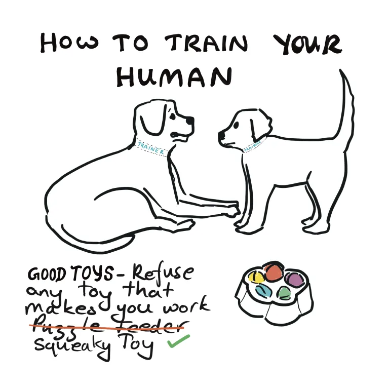 How dogs train their humans- to give them toys of their own choosing