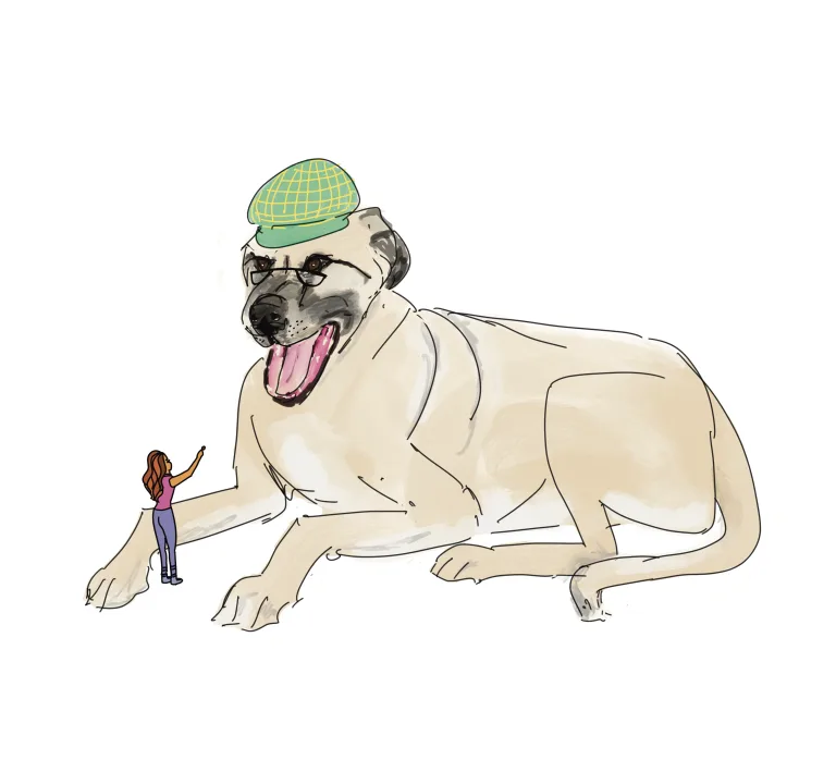 A giant dog looks at a treat held out by a tiny owner