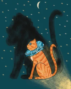 a cat in an elizabethan ruff casts the shadow of a lion