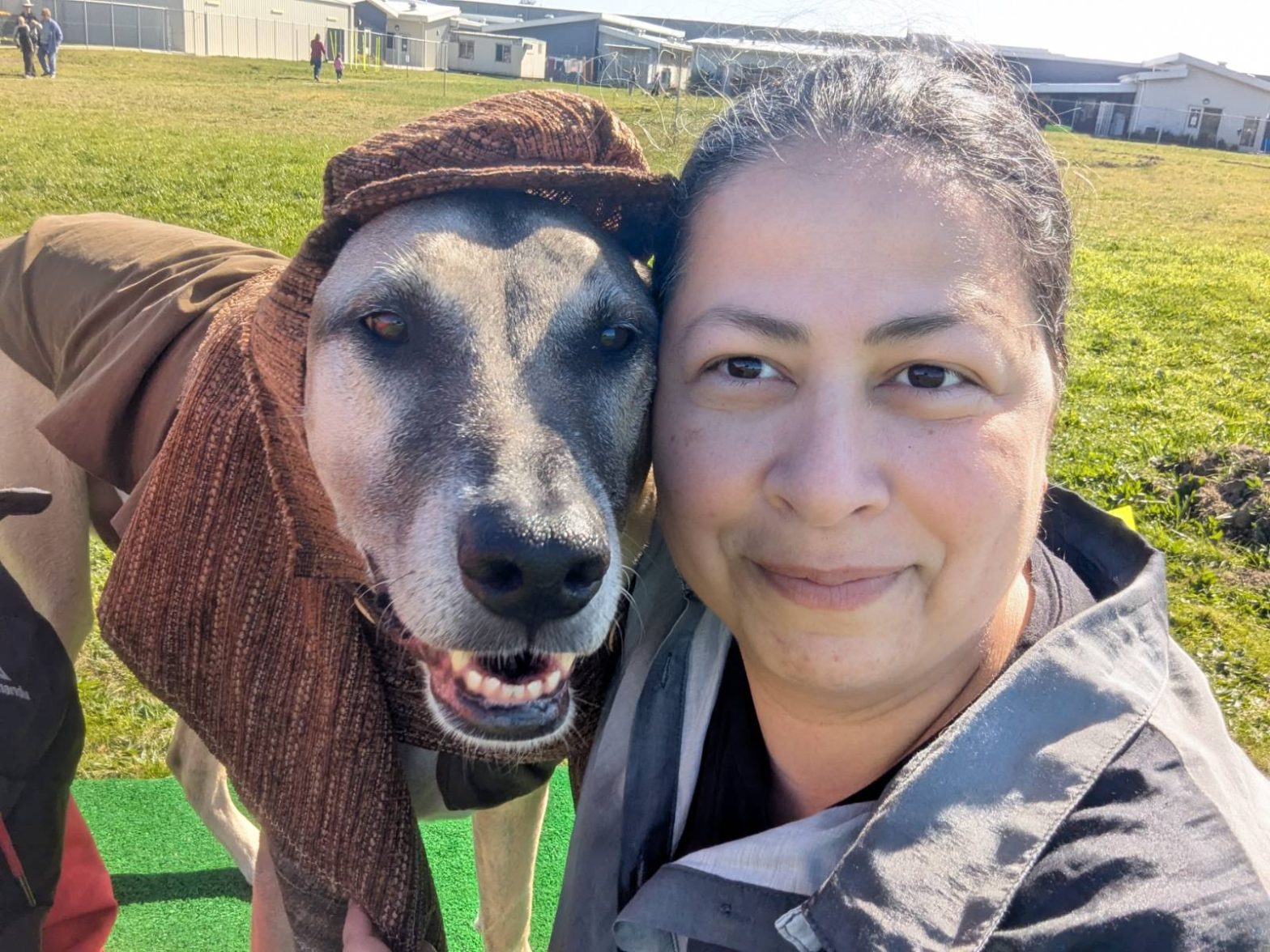 A large dog dressed as a detective dog wears a cap, cape and jacket- with his human