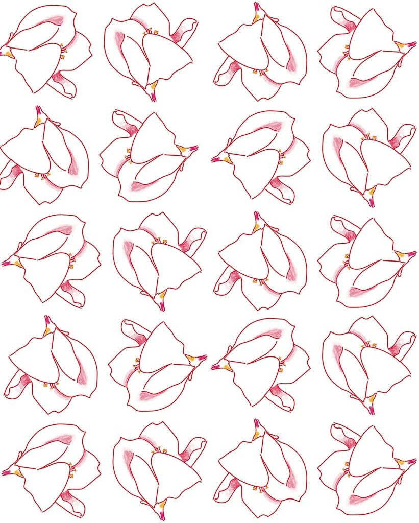 4 tossed and moved outline half drop 821x1024 1