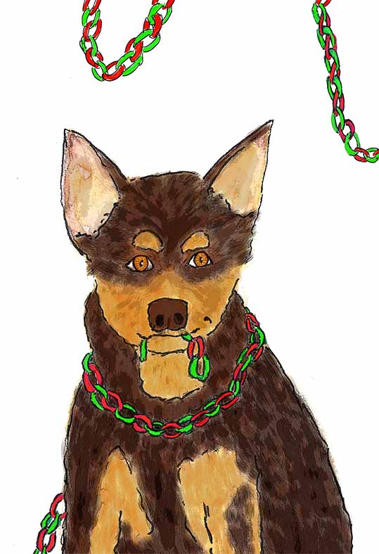 50kelpie 1