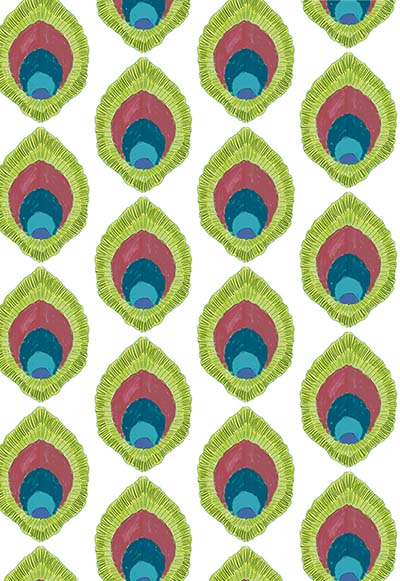 peacock feather 1