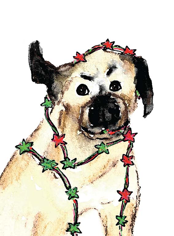tinseldognewu 1