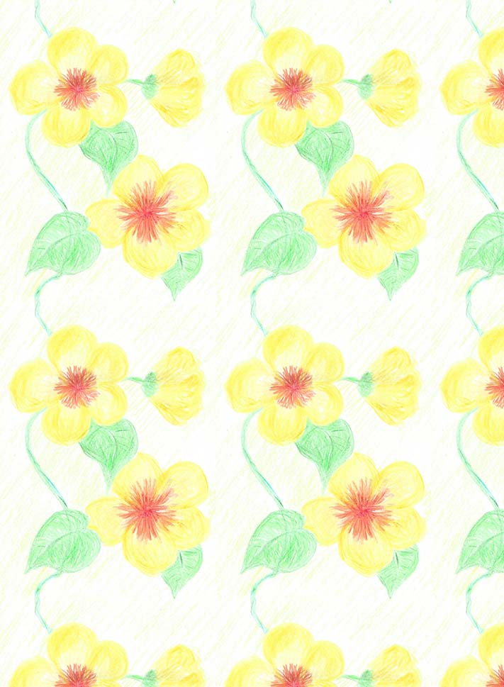 yellow flowers colour pencil 3