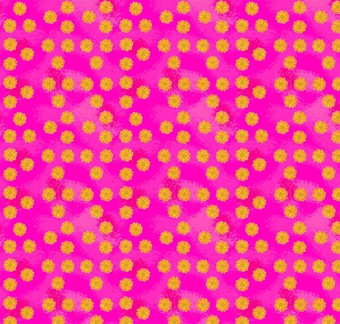 yellow flowers on pink1